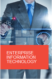 enterprise information technology